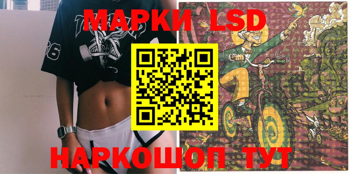 MDMA Гатчина