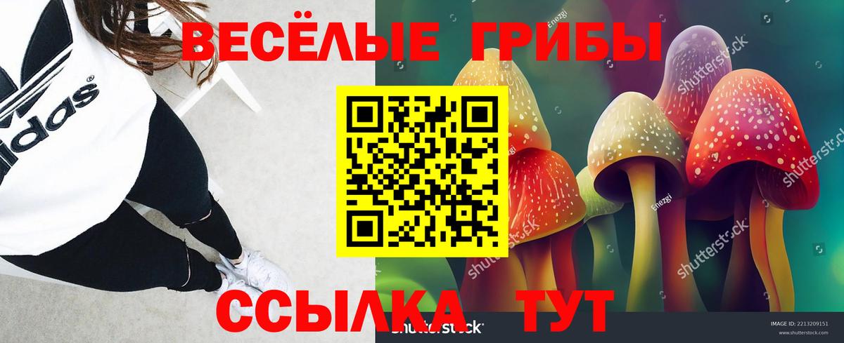 Галлюциногенные грибы прущие грибы Гатчина